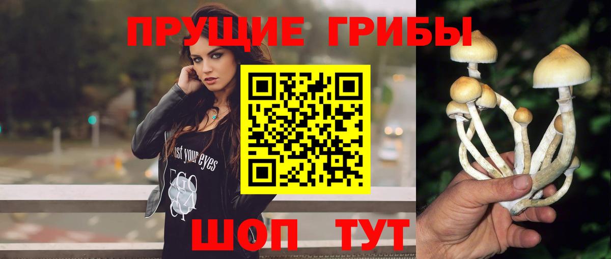 Галлюциногенные грибы GOLDEN TEACHER  Вход с VPN  Черногорск  Псилоцибиновые грибы мухоморы 