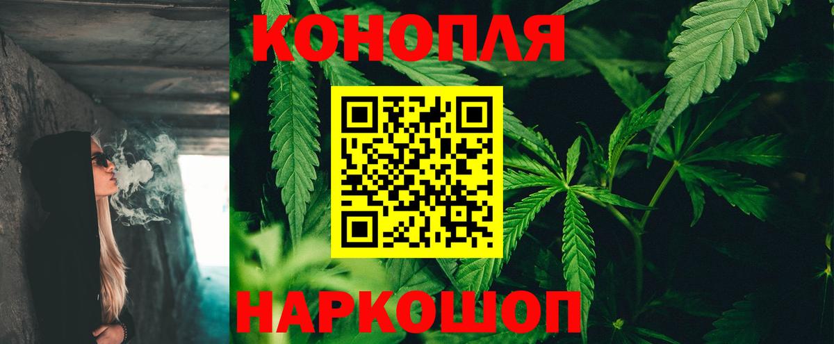 Конопля планчик Черногорск